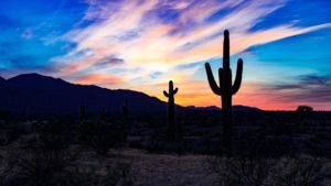 Puesta de sol con cactus saguaro y montañas de Phoenix