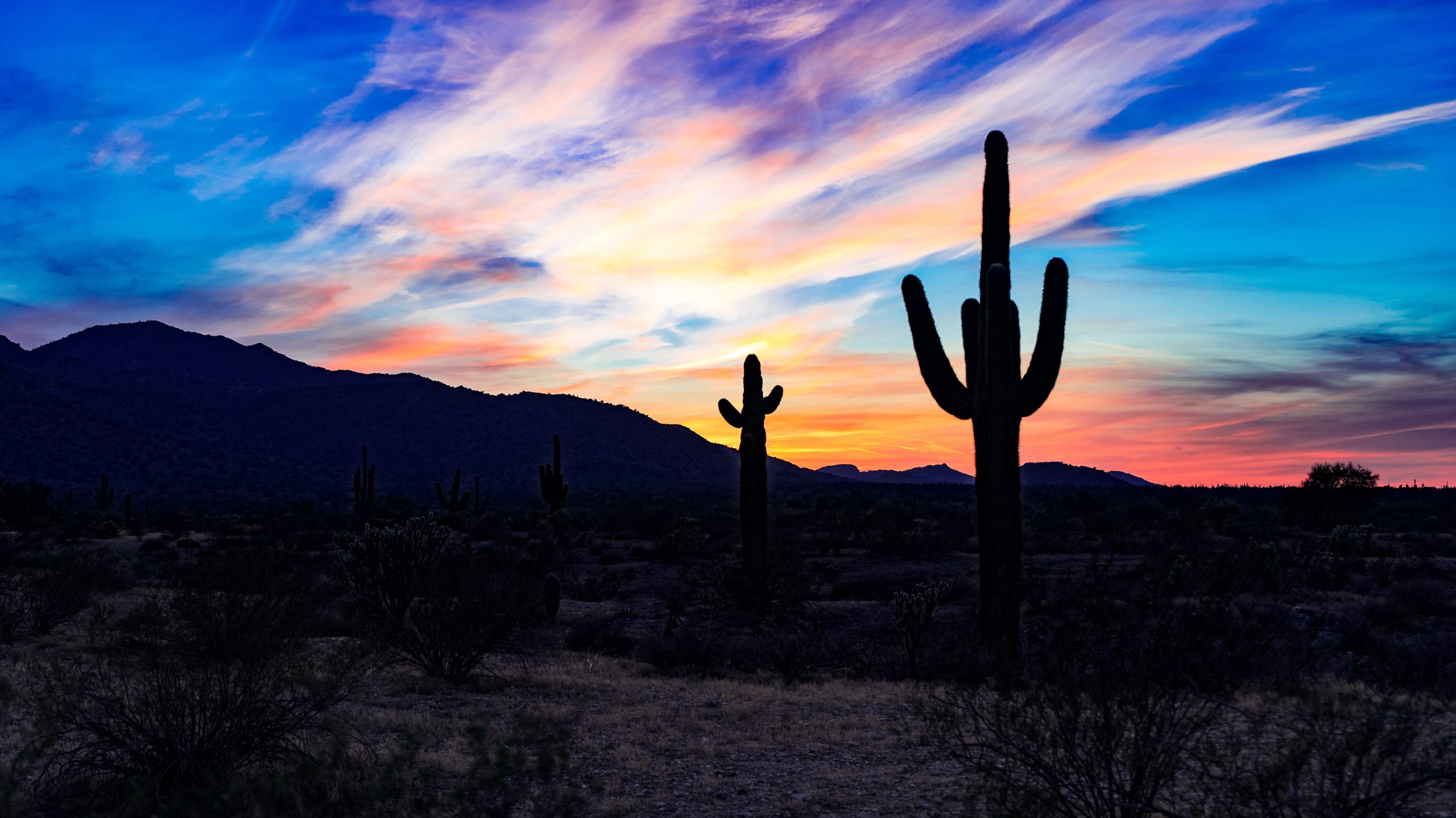Sunset with Saguaro Cactus and Phoenix Mountains