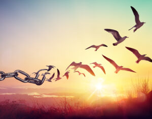 image of a chain turning into free birds in flight symbolizing freedom